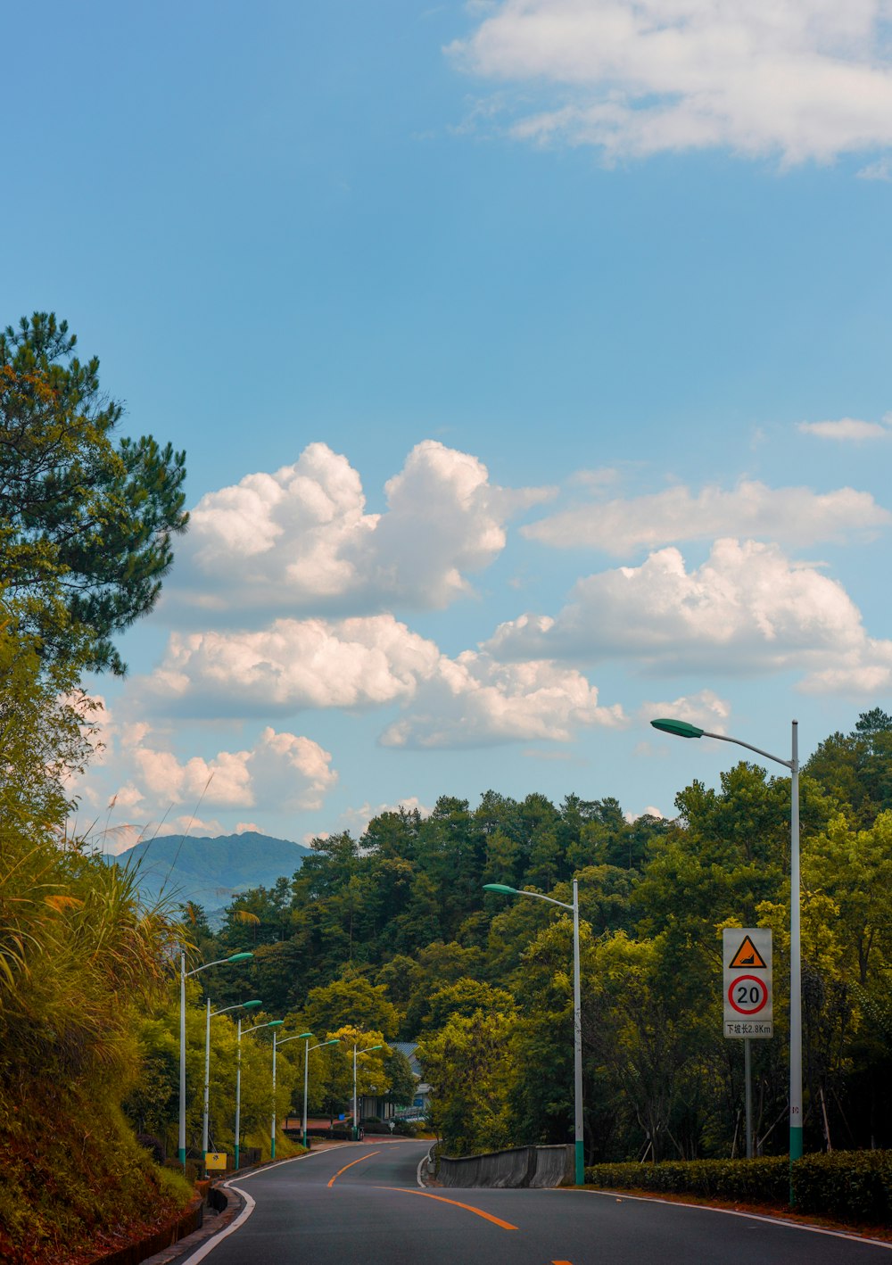 alberi verdi sotto il cielo blu durante il giorno