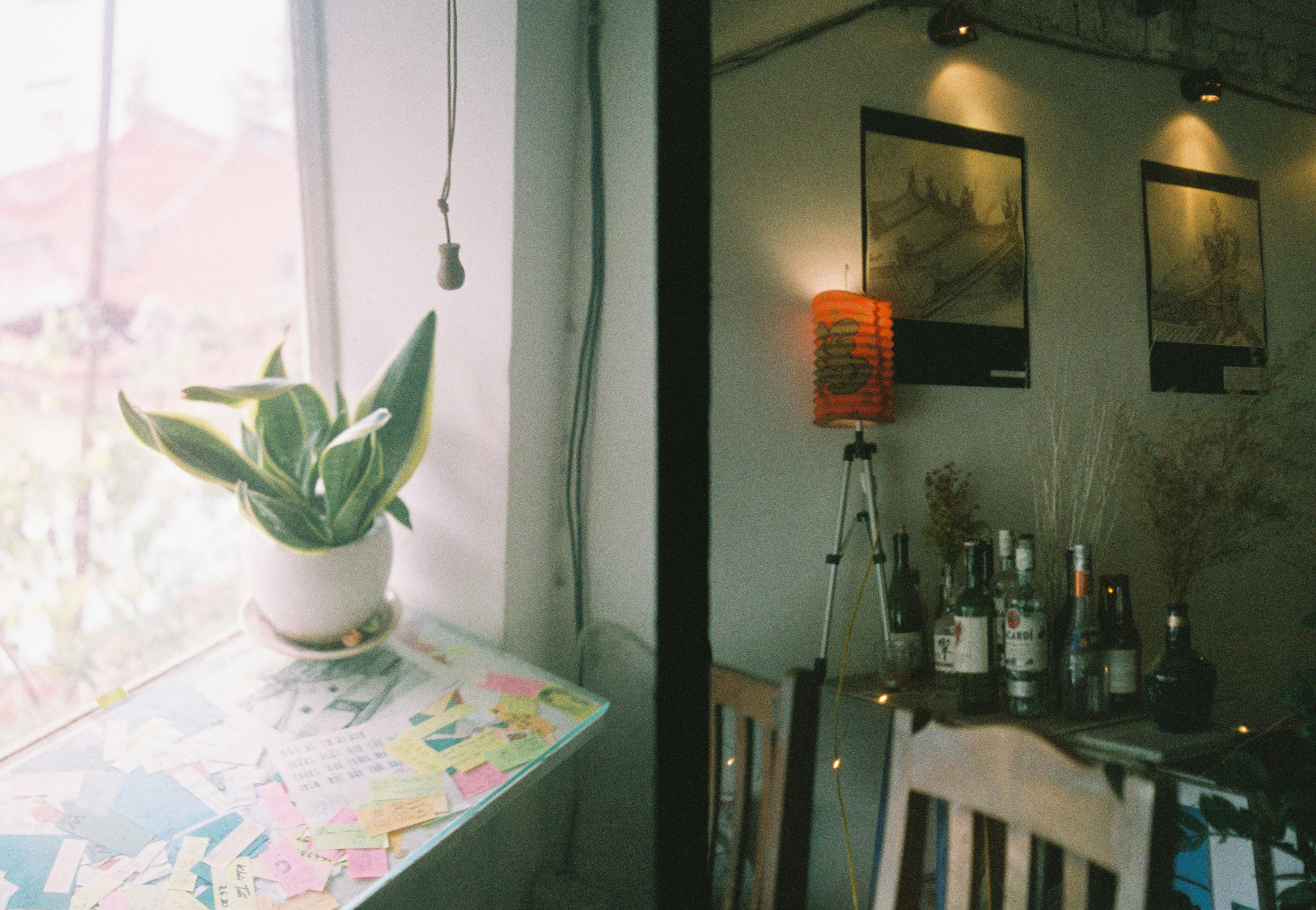 Photo by tnminthw