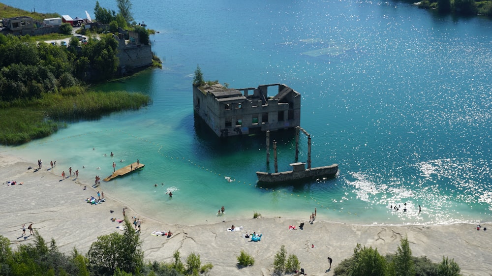 people on beach during daytime