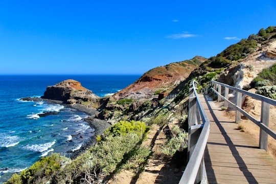 white wooden bridge on blue sea under blue sky during daytime in Cape Schanck Australia