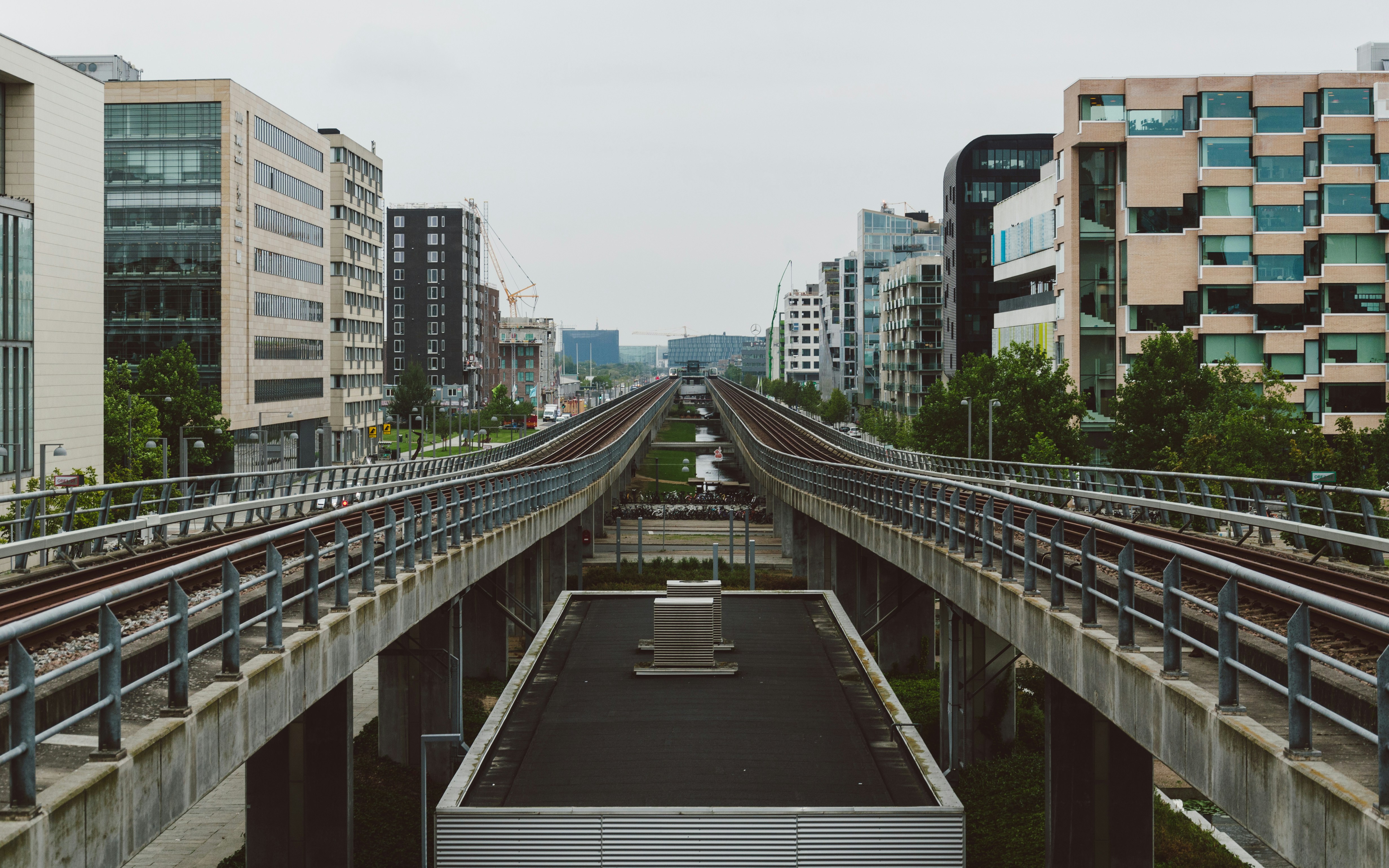 Photo by shanerounce