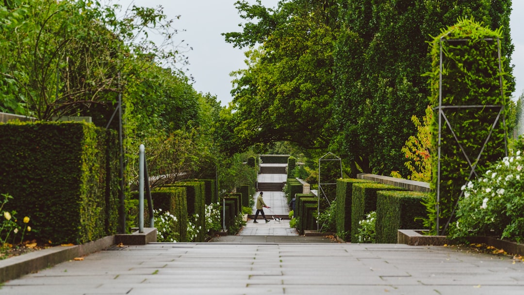 Nature reserve photo spot Copenhagen Denmark