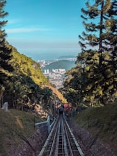 green trees on mountain during daytime