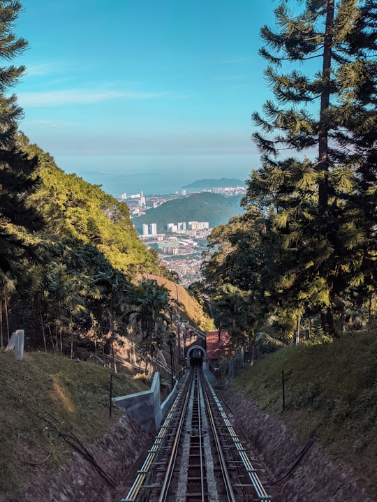 green trees on mountain during daytime in Sky Walk Malaysia