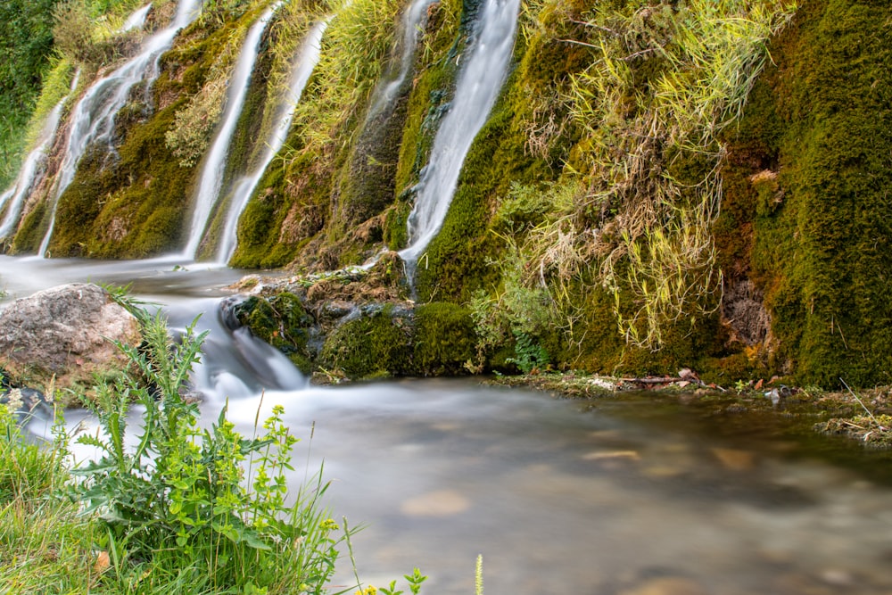 L’eau tombe sur l’herbe brune