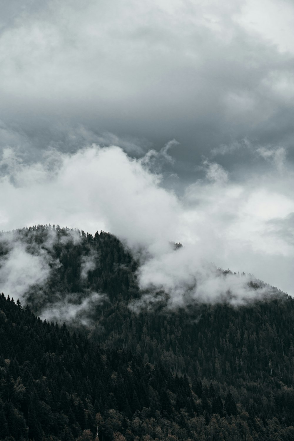 green trees on mountain under white clouds during daytime