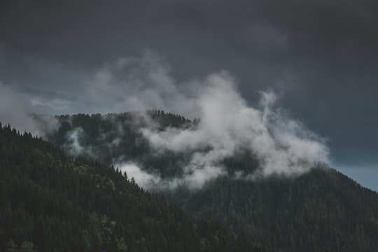 green trees under white clouds during daytime in Flachau Austria