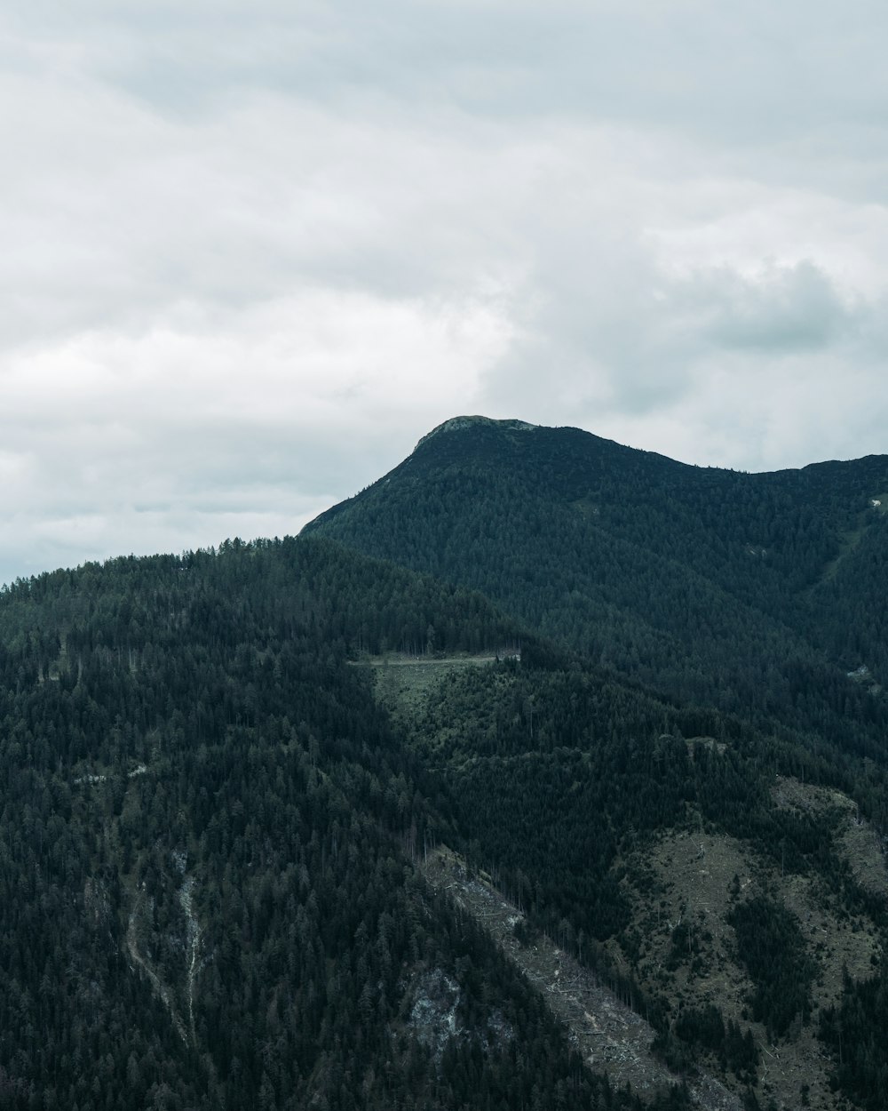 green trees on mountain under white clouds during daytime