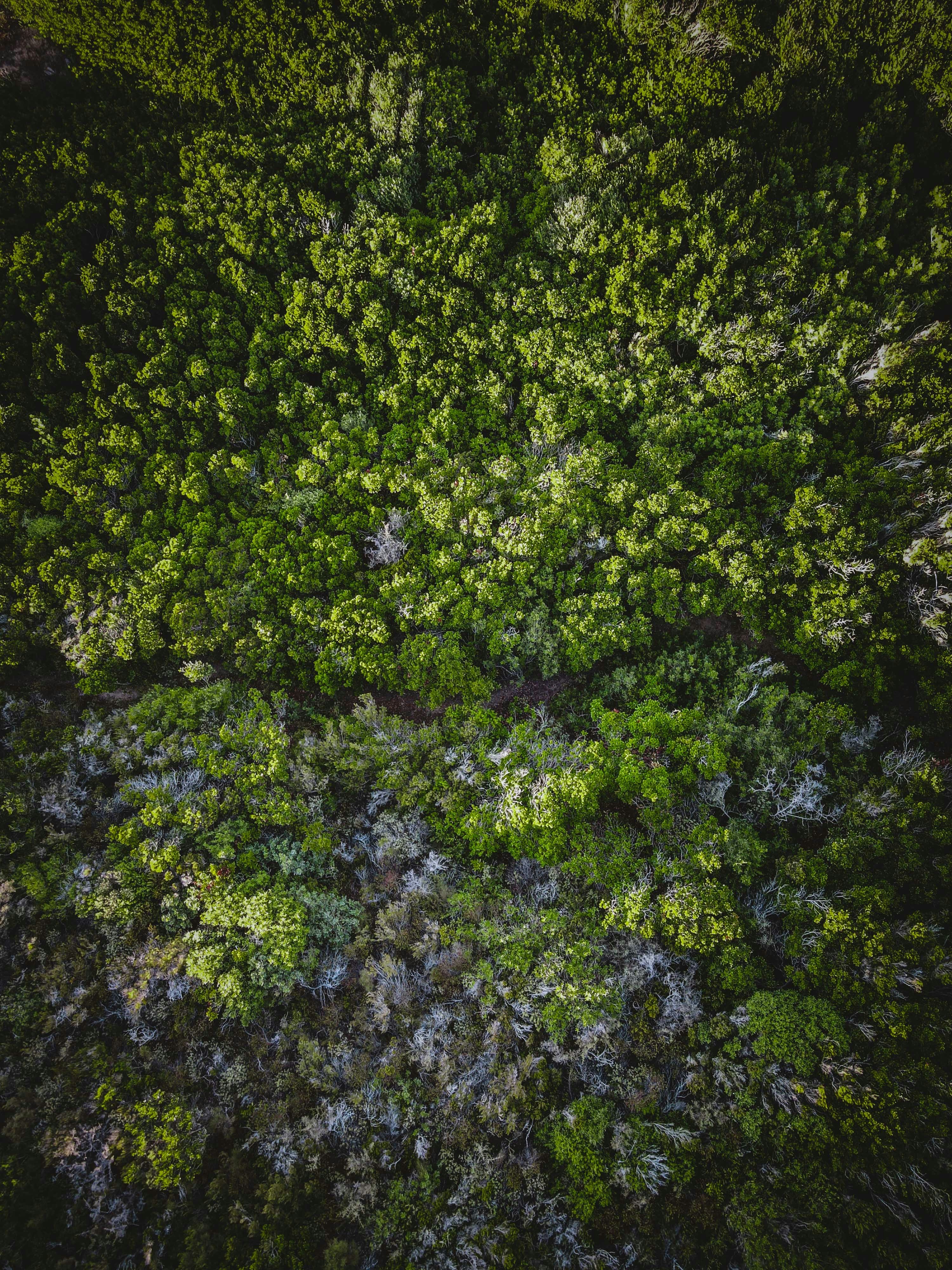 Drone View of Costa Verde (Green Coast) in the South West of Sardegna, Italy.