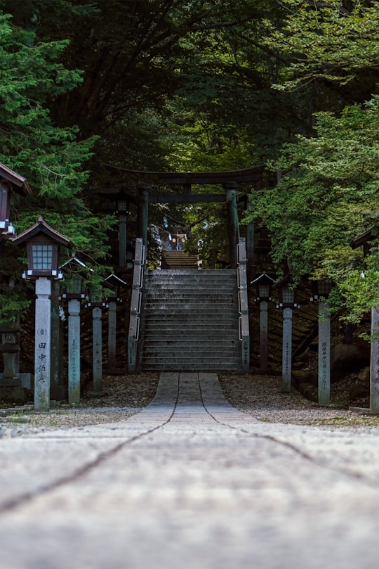 brown wooden bridge in the middle of forest during daytime in Nasu Japan