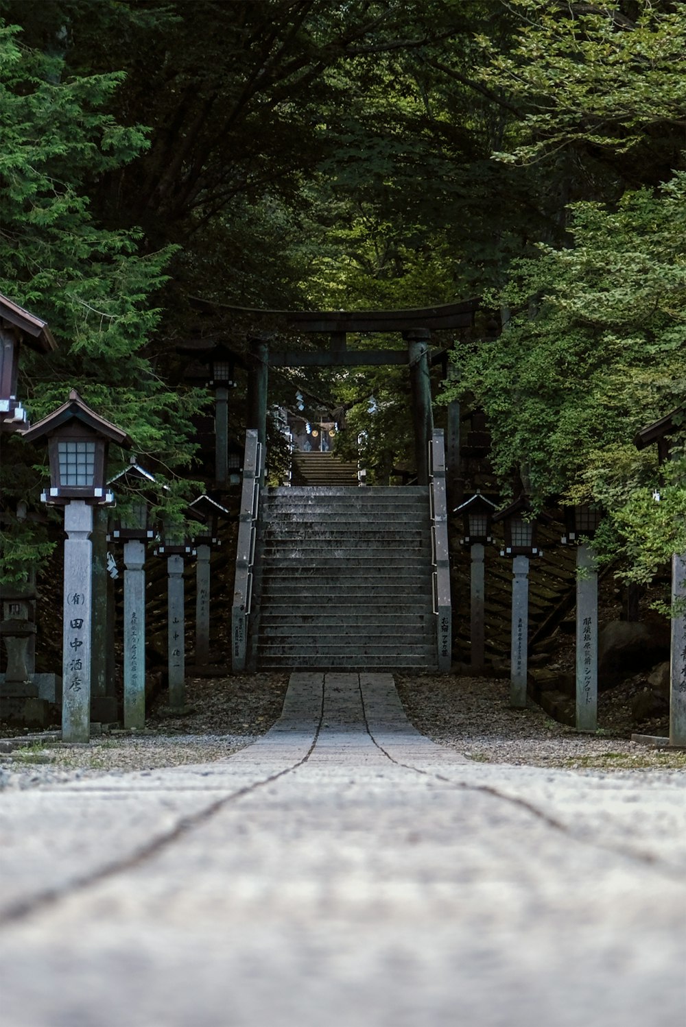 brown wooden bridge in the middle of forest during daytime