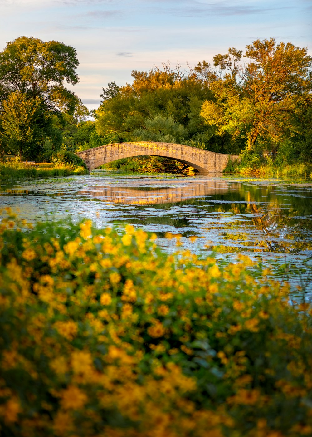 brown wooden bridge over river