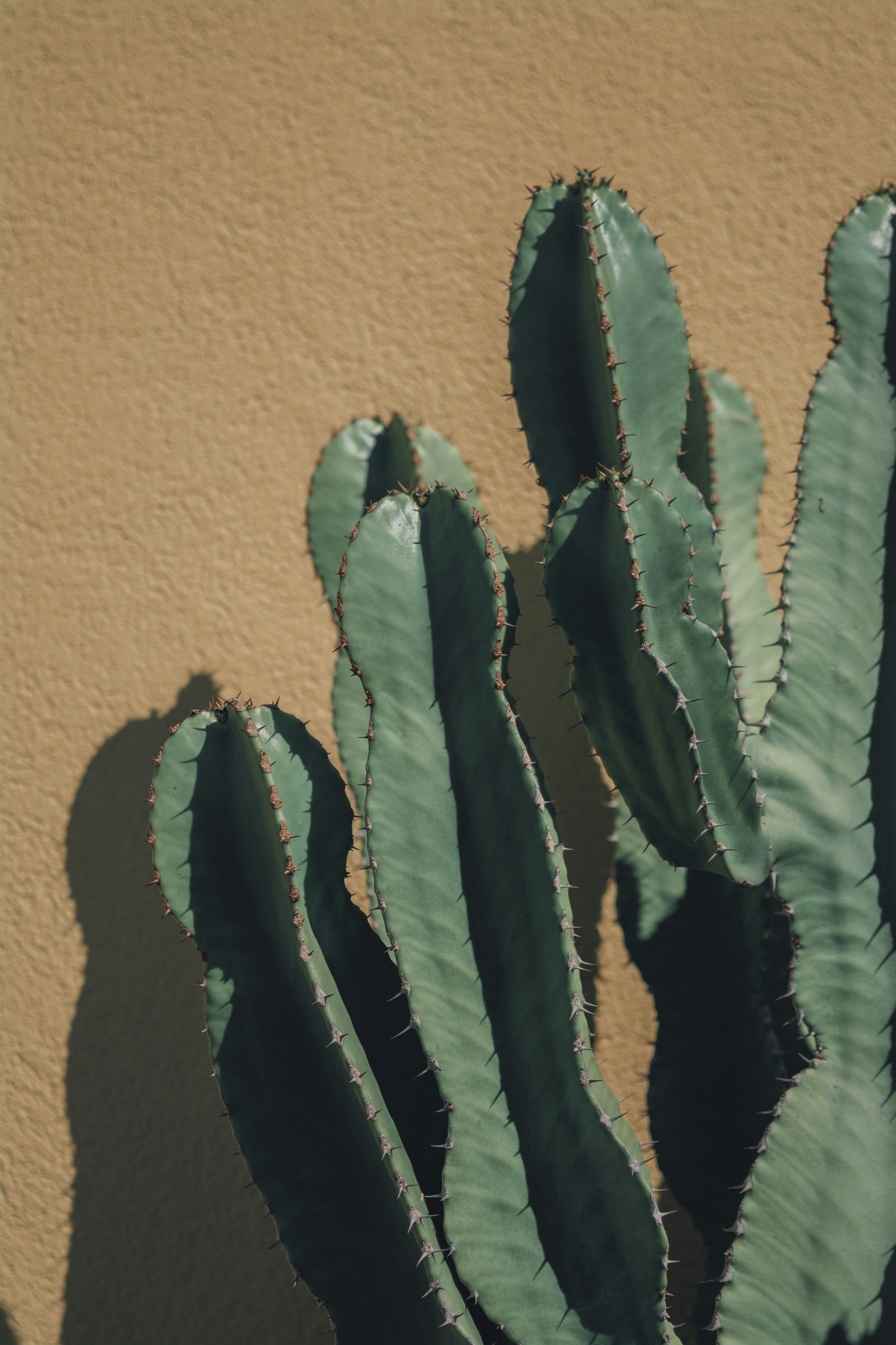 Photo by abrescia_nicola