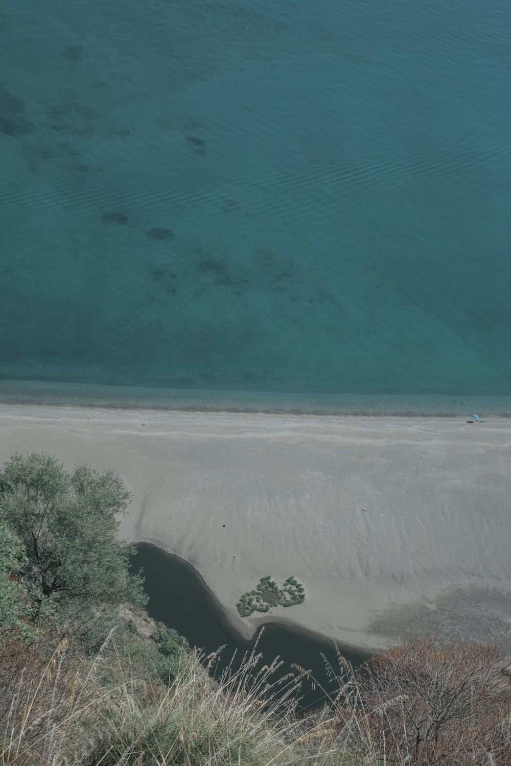 green trees beside blue sea during daytime