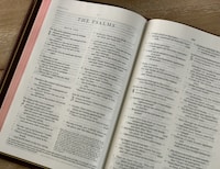 Who is the King of Glory? Reflections on Psalm 24