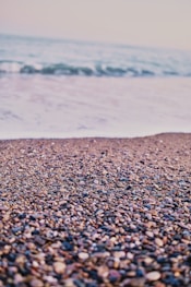 brown and black pebbles near body of water during daytime