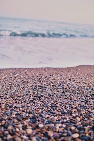 brown and black pebbles near body of water during daytime