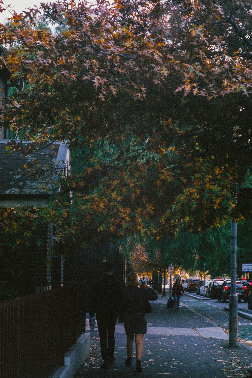 people walking on sidewalk near green trees during daytime