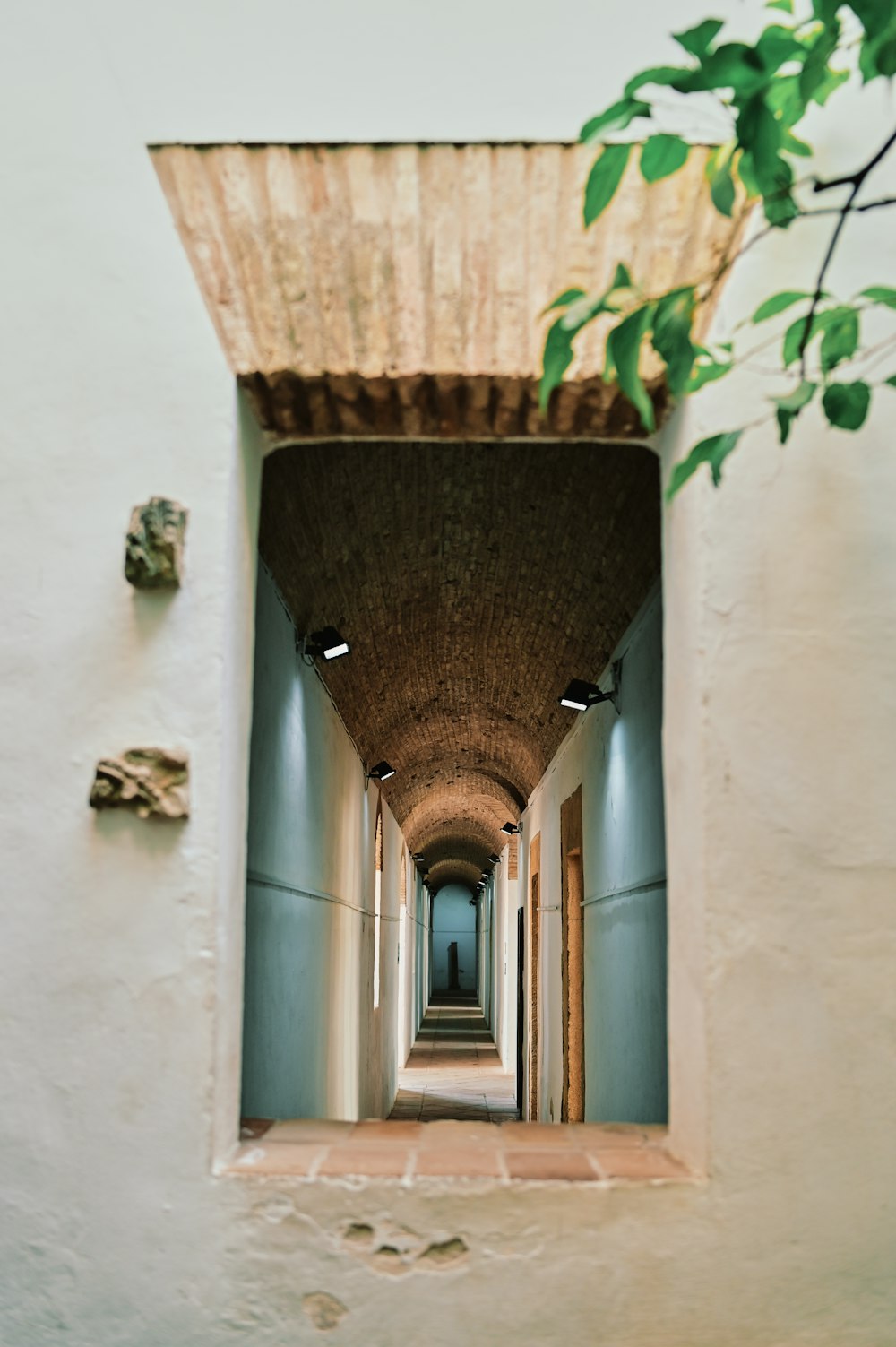 brown and white hallway with green plants