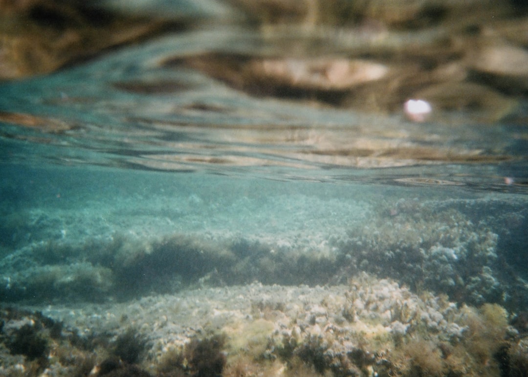 travelers stories about Underwater in Menorca, Spain