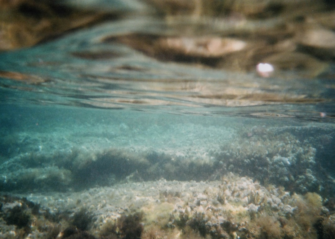 Underwater photo spot Menorca Minorca