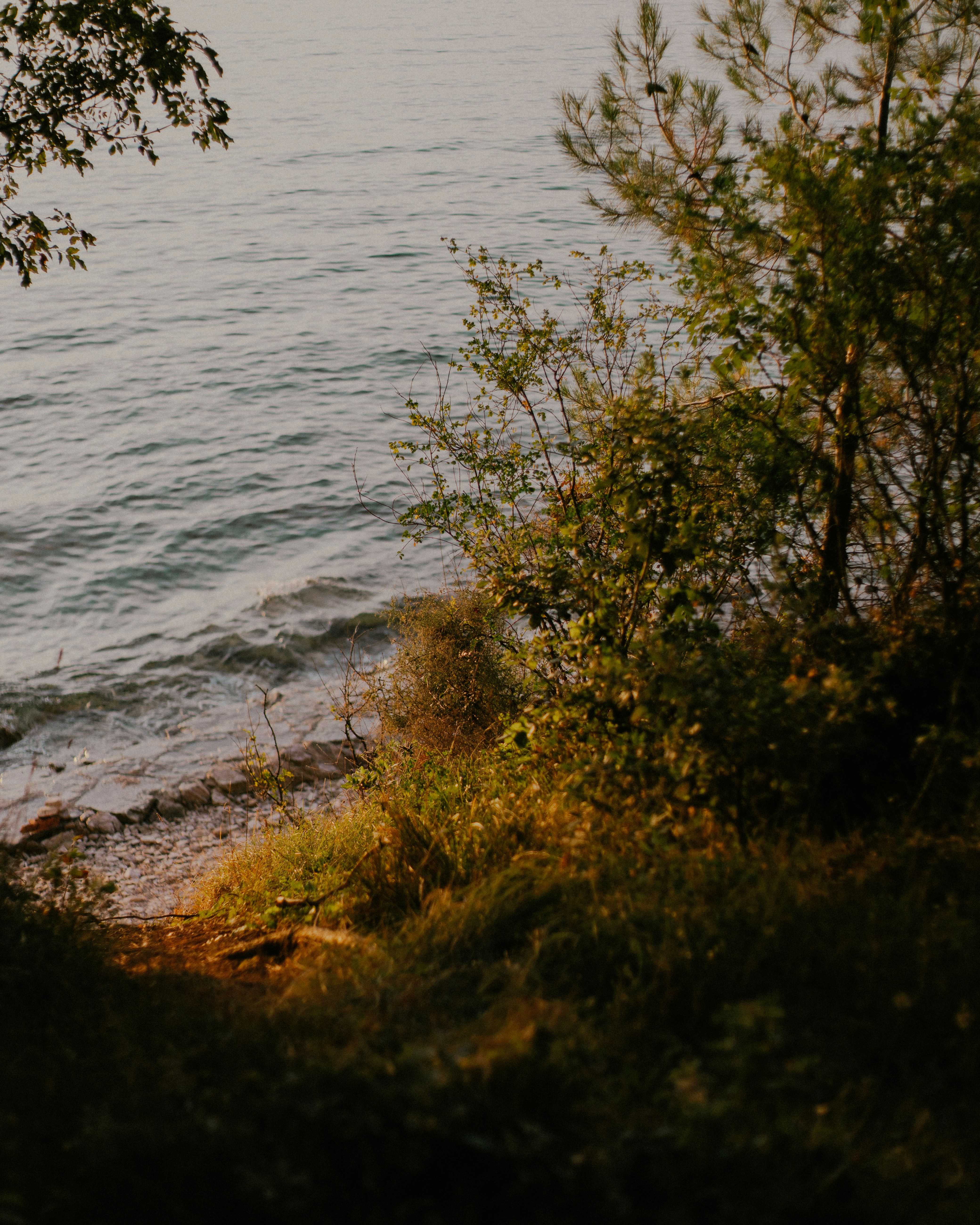 Photo by mmanusoo