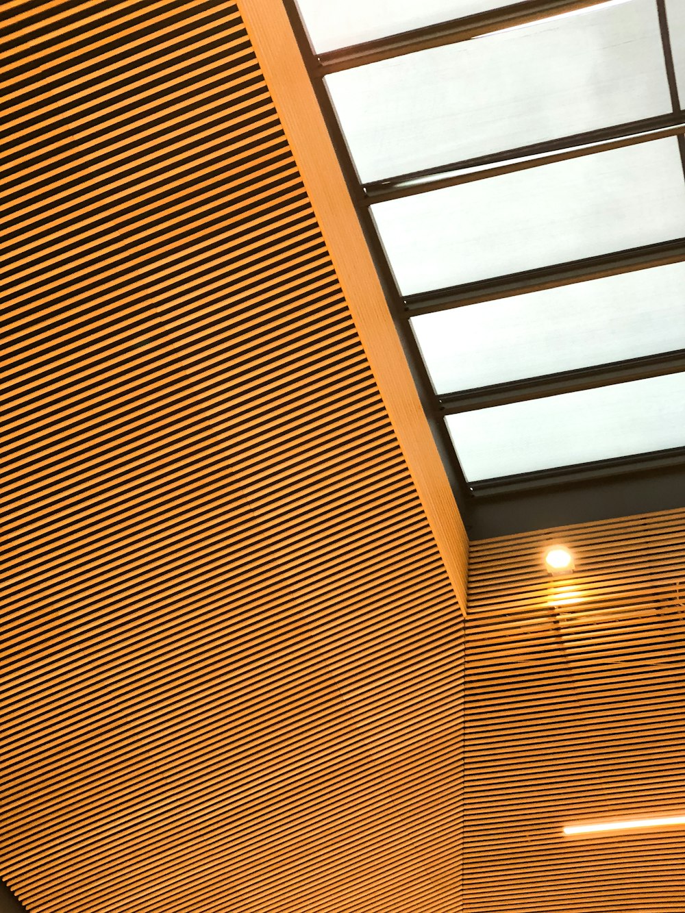brown and white wooden ceiling