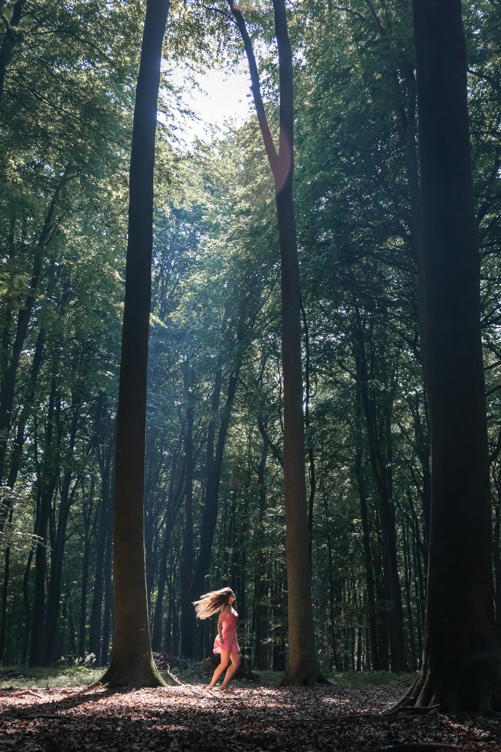 mulher no vestido branco em pé no meio da floresta durante o dia