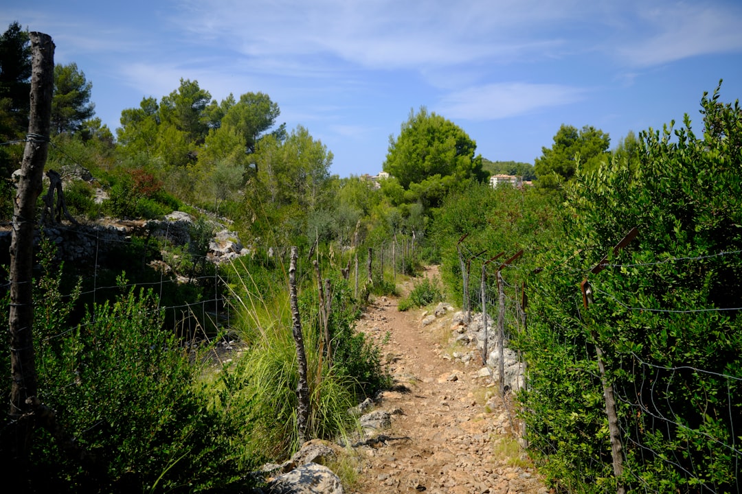 Nature reserve photo spot Serra de Tramuntana Banyalbufar