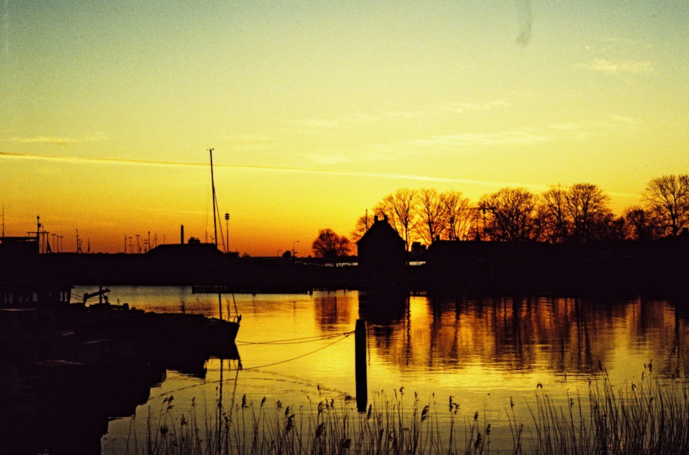 silhouette of trees beside body of water during sunset