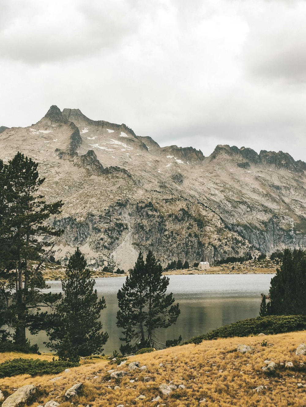 Árboles verdes cerca del lago y la montaña