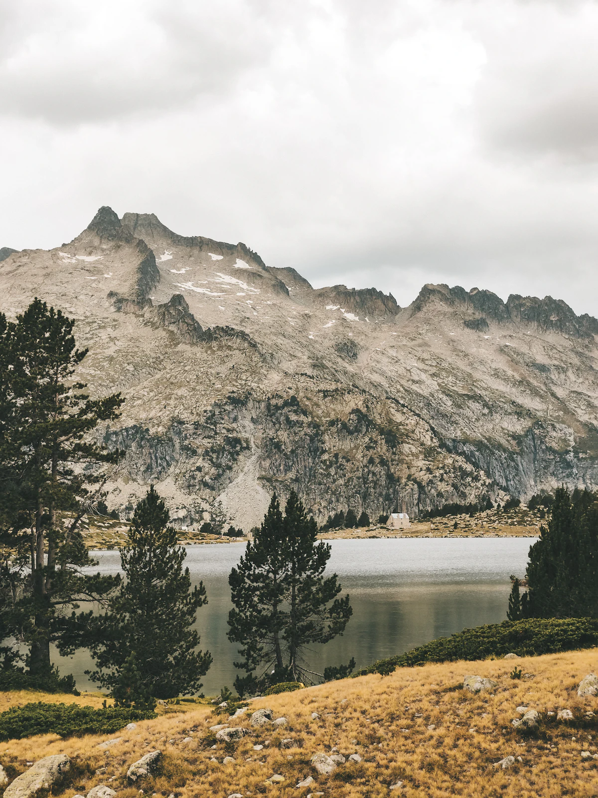 Pines and dry grass on the shore of a mountain lake in the Hautes-Pyrénées, below grey granite peaks