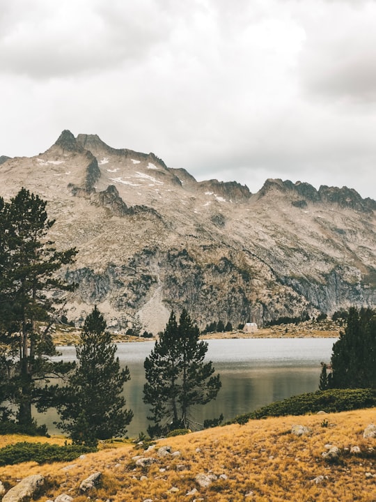 photo of Hautes-Pyrénées Highland near Peyresourde