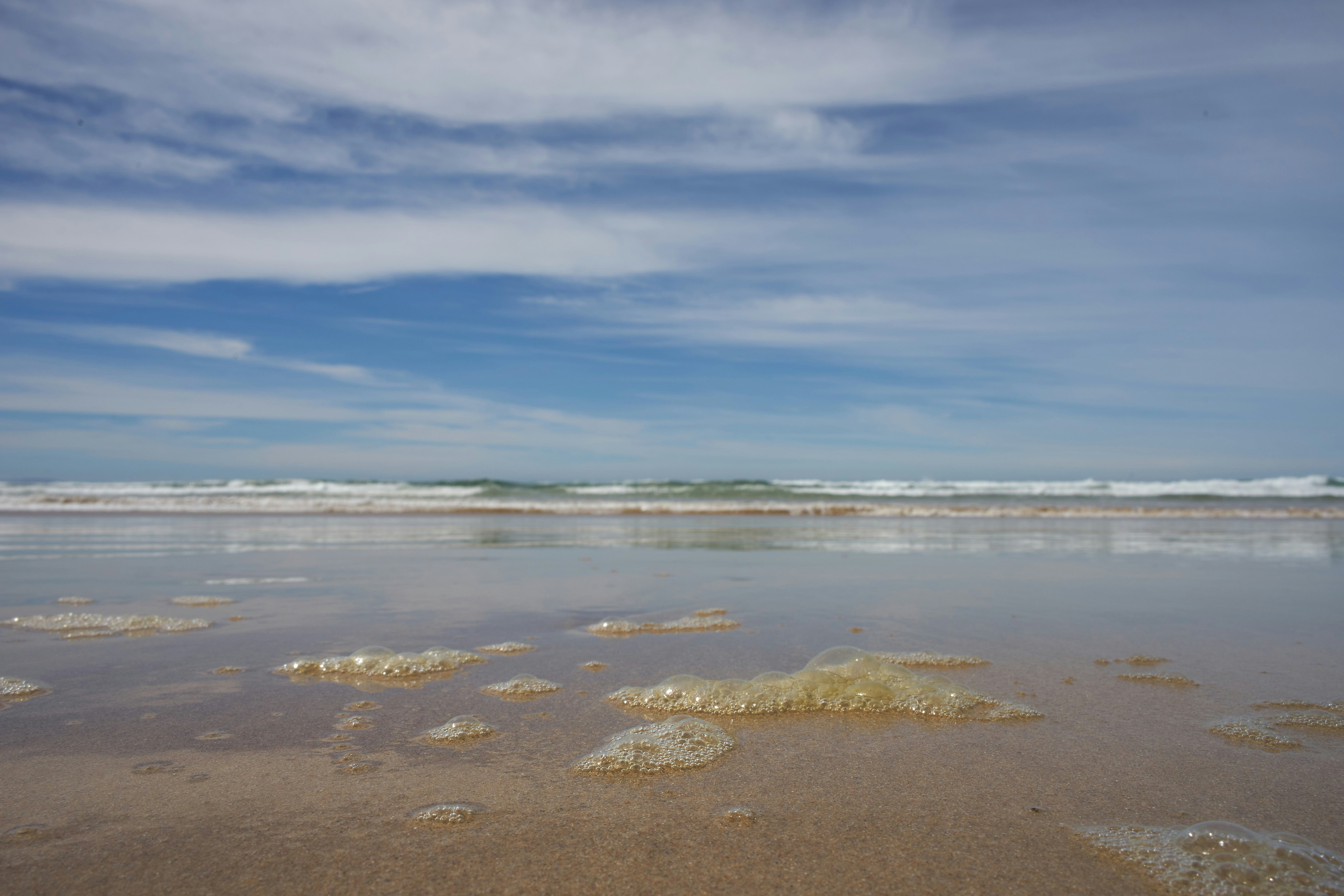 Photo by wolfgang_hasselmann