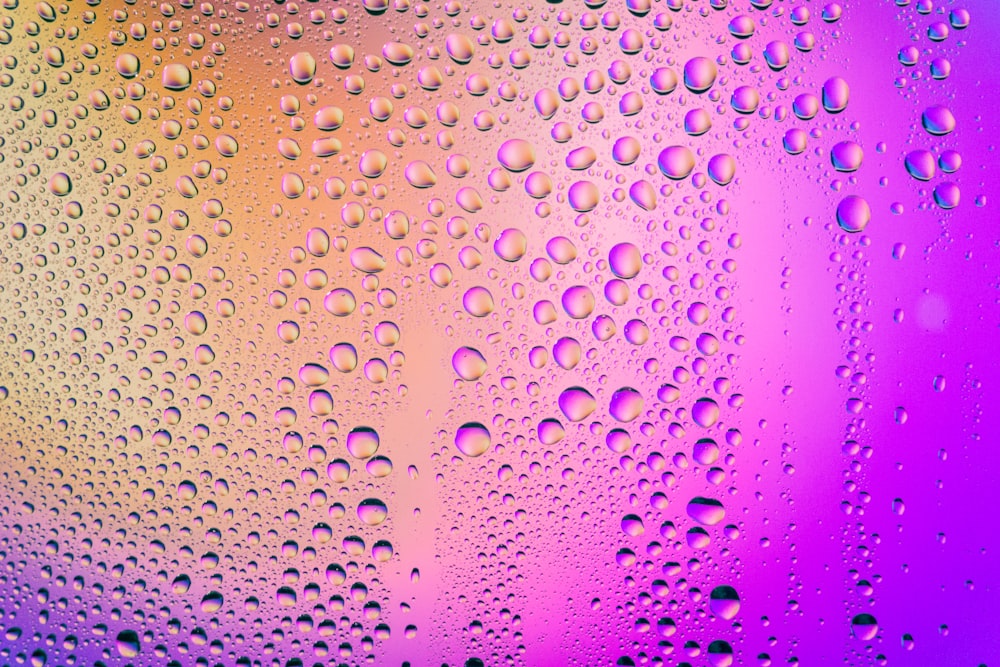 water droplets on glass window