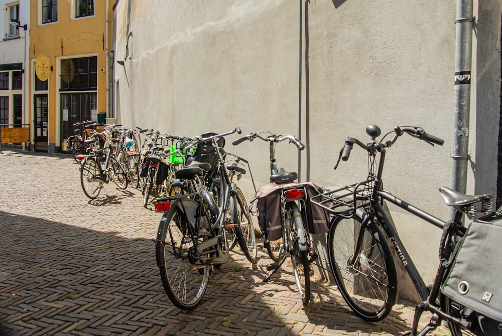biciclette parcheggiate sul ciglio della strada