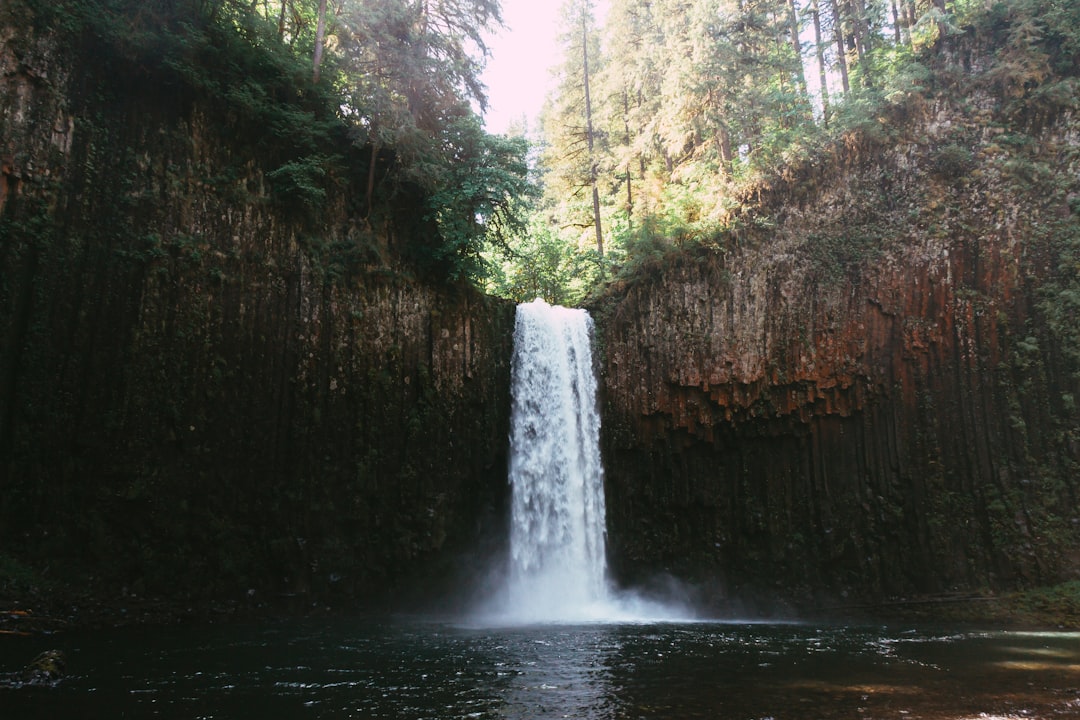 waterfalls in the middle of forest during daytime