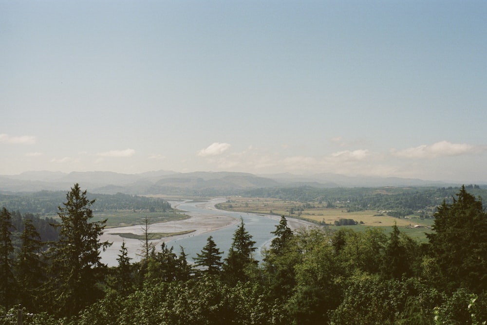 green trees near body of water during daytime