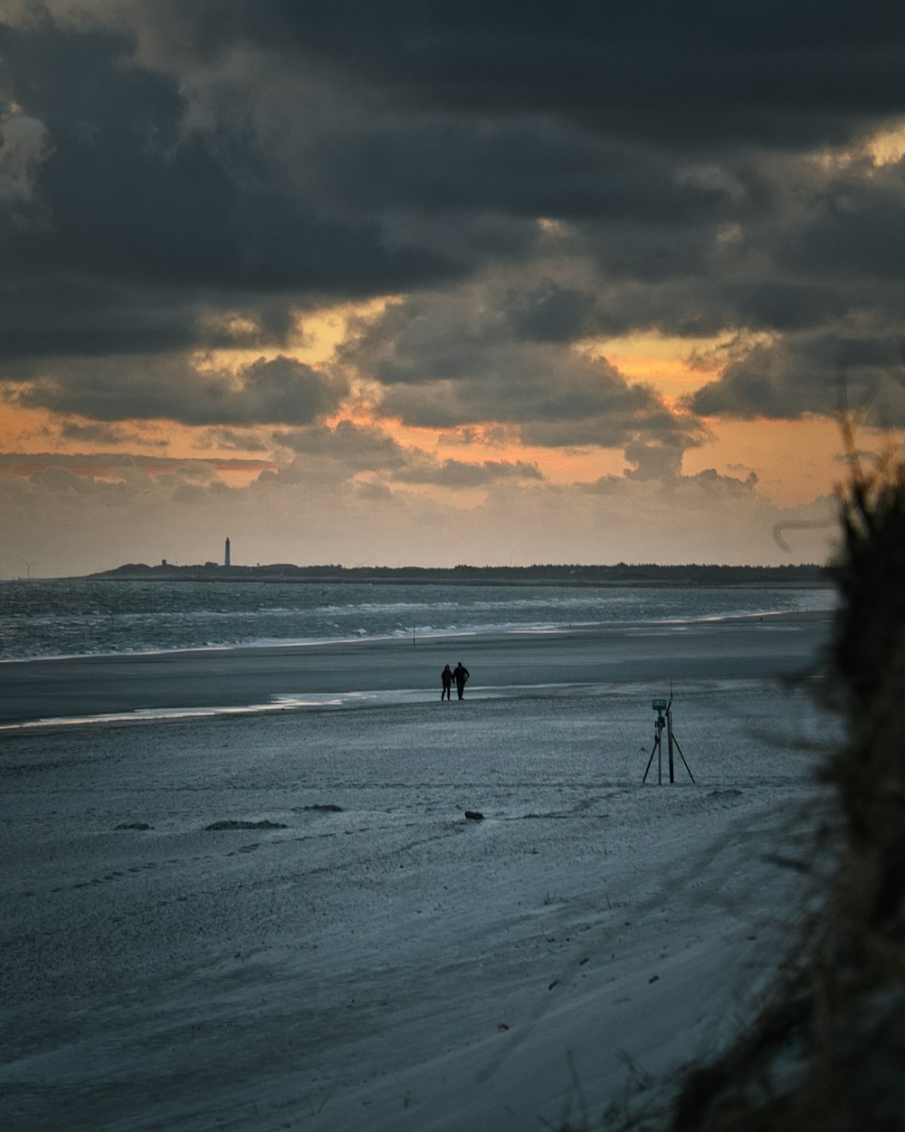 silhouette of people on beach during sunset