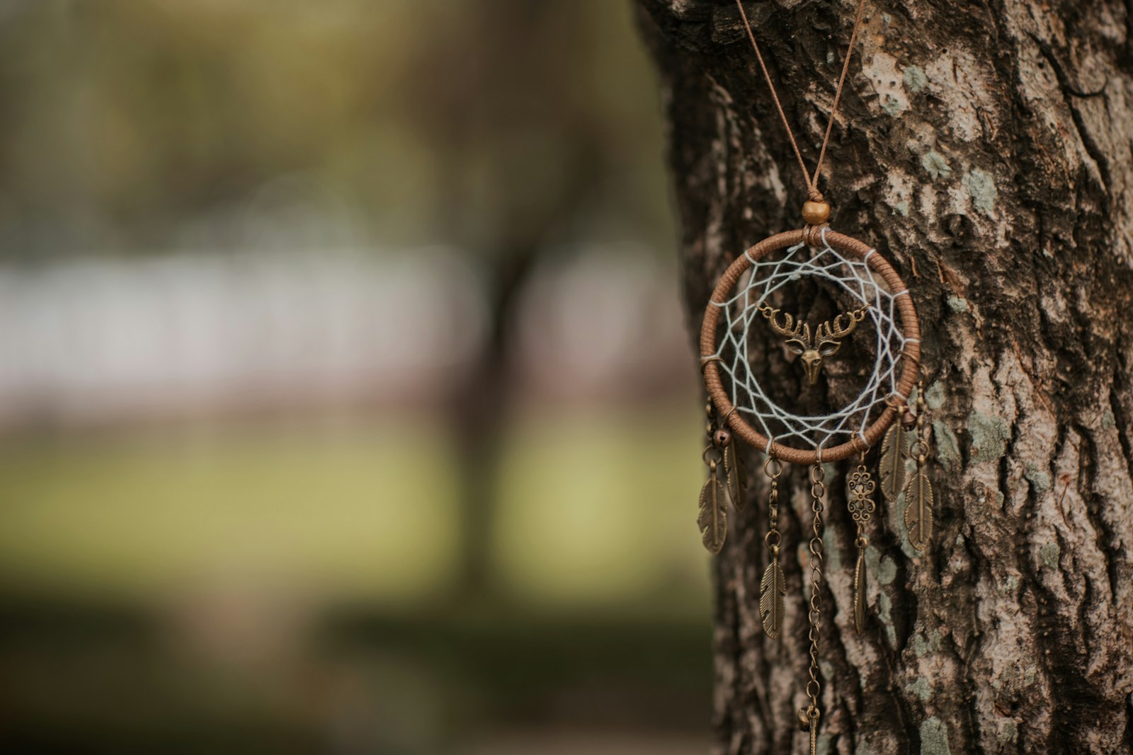 Canon EF 85mm F1.2L II USM sample photo. Brown and black round photography