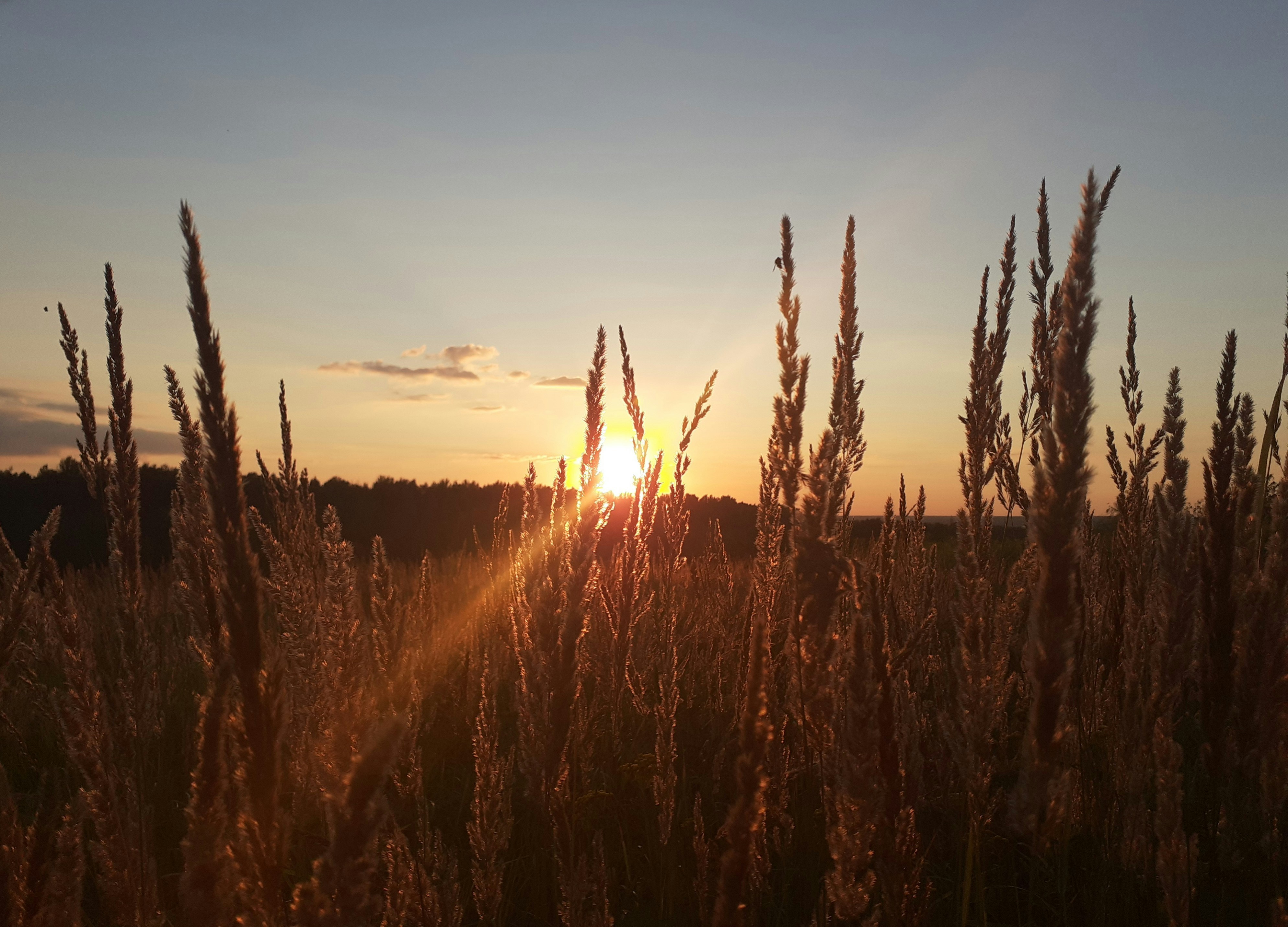Photo by germanpankovets