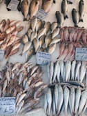 Various types of frozen fish displayed on ice in the store at Trijueque.