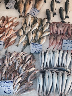 Various types of frozen fish displayed on ice in the store at Trijueque.