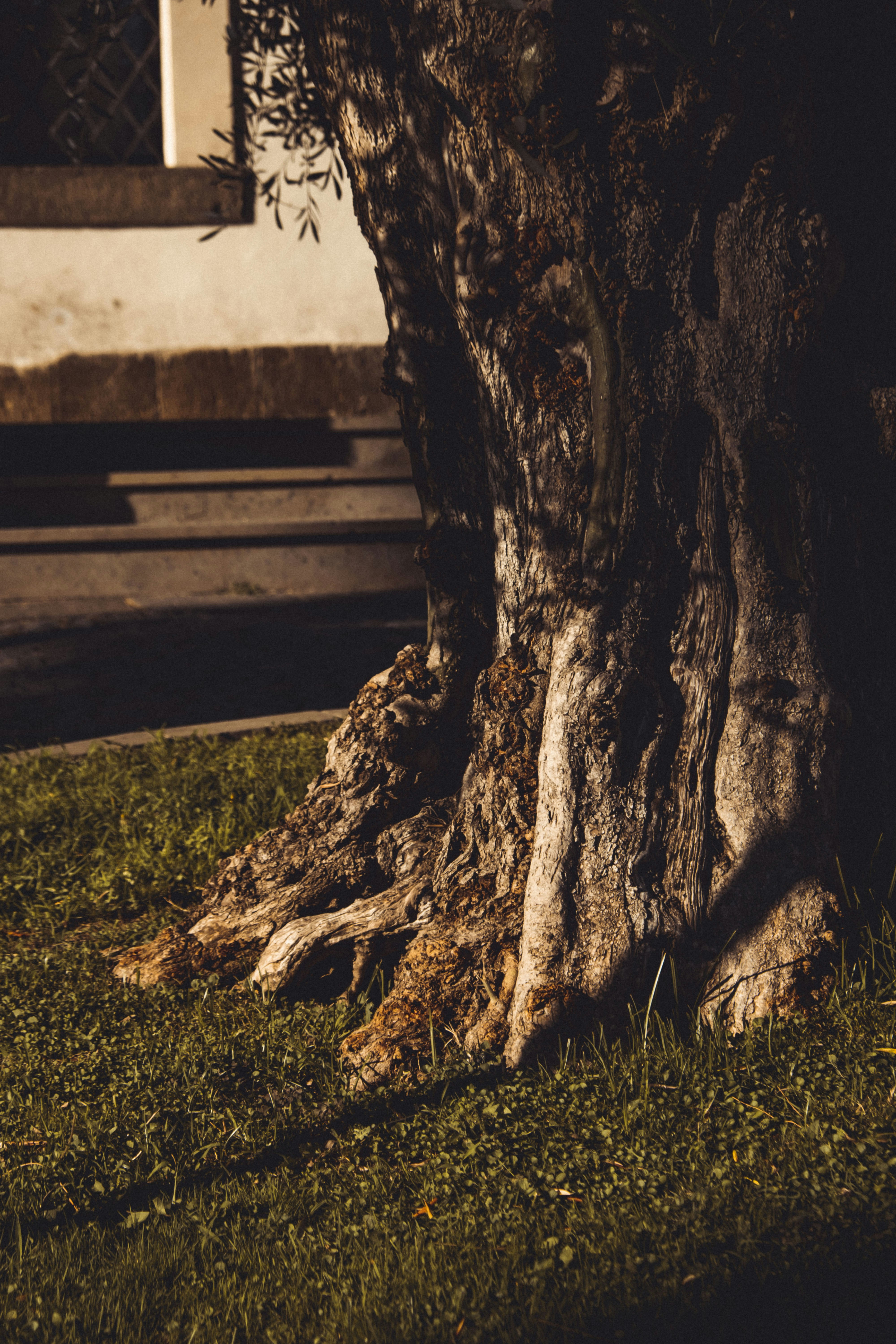 Photo by moritz_photography