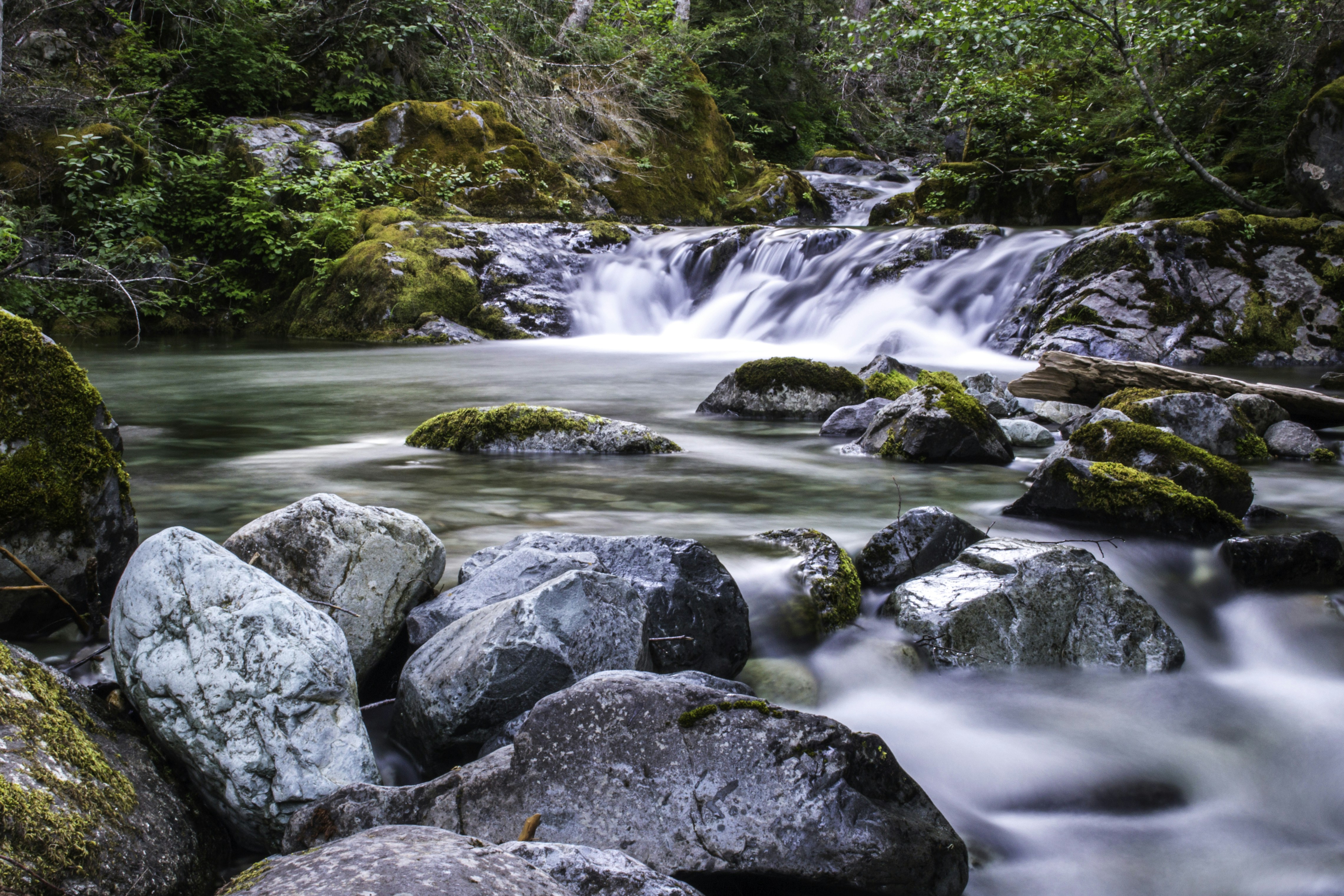 Photo by davidmerrick