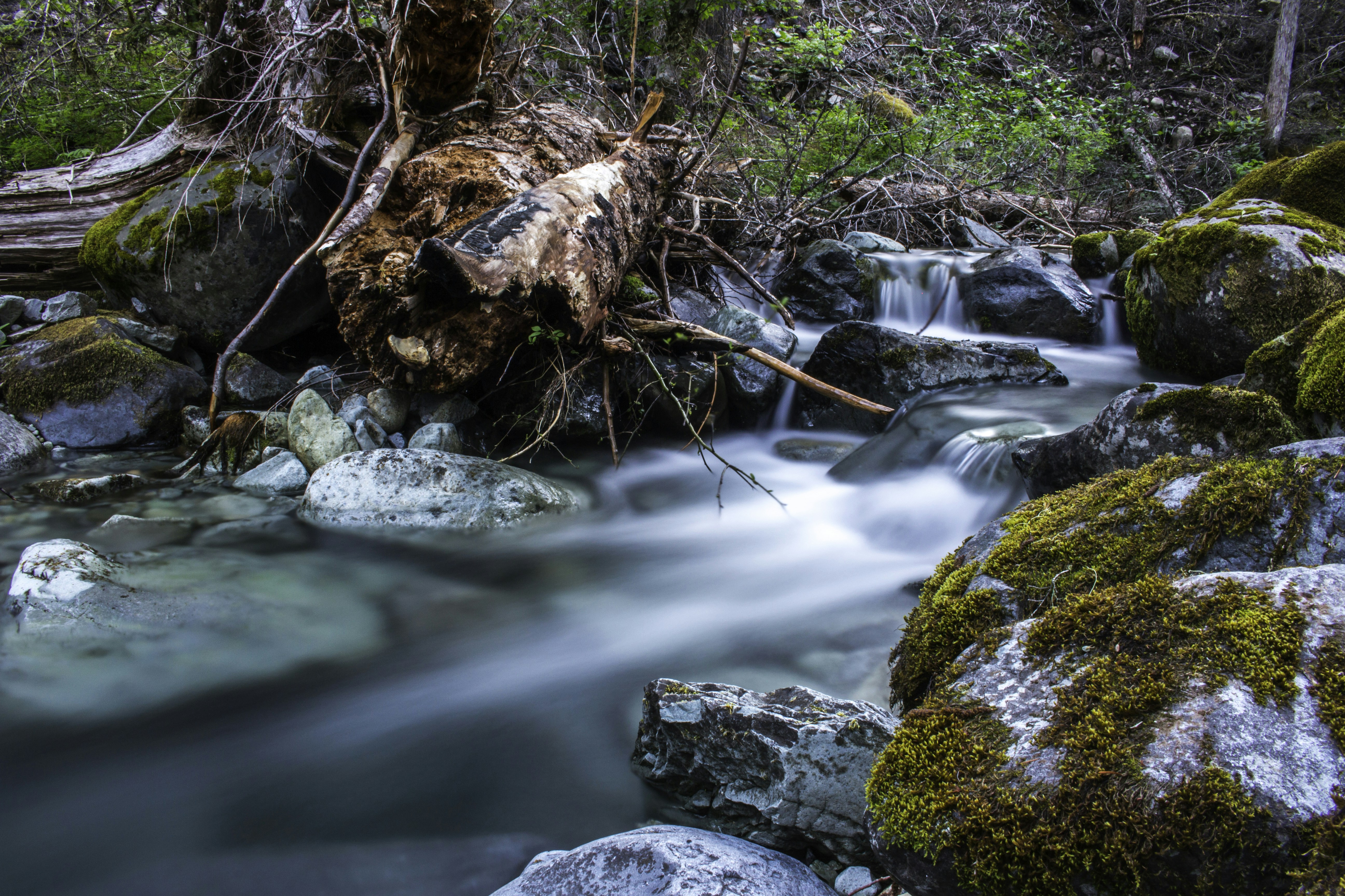 brown and green rock formation on river