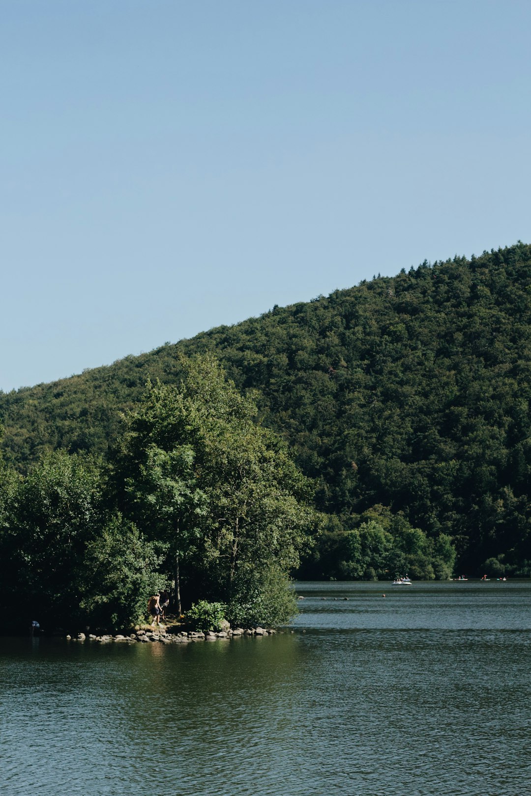photo of Chambon-sur-Lac Reservoir near Lac Pavin
