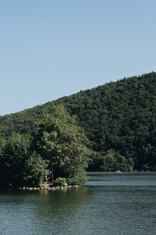 photo of Chambon-sur-Lac Reservoir near Cathédrale Notre-Dame-de-l'Assomption