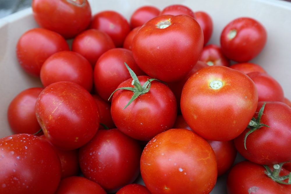 red tomato fruit in close up photography
