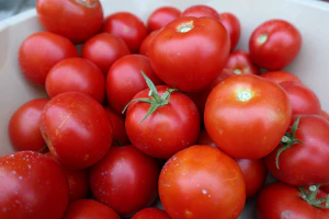 Tomates frescos